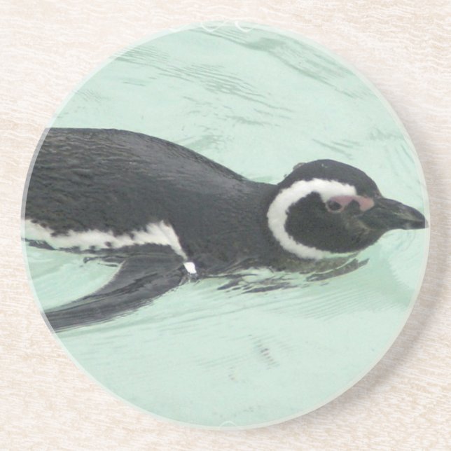 Penguin-Schwimmen-Untersetzer Sandstein Untersetzer (Vorne)