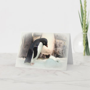 Penguin Snowball Fight Weihnachtskarte 2 Karte
