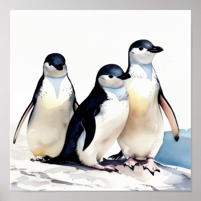Penguin Trio Poster (Vorne)