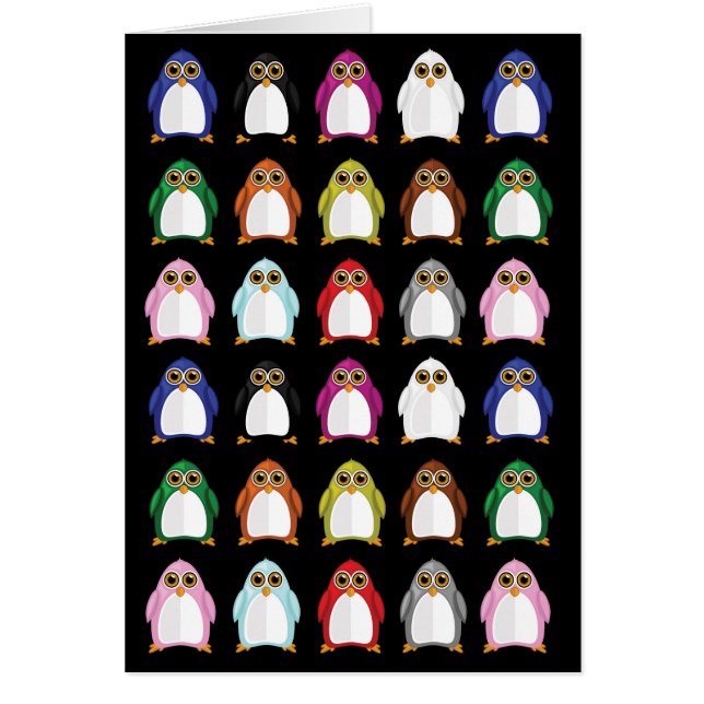 Penguin Variety 2 (Vorne)