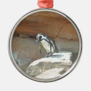 Penguin, Wildlife, Animal, Wild Bird, Zoo, Summer Silbernes Ornament