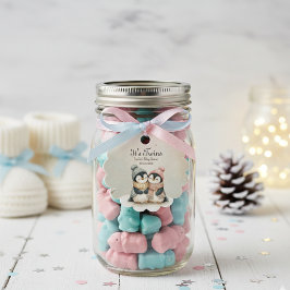 Penguin Winter Twins Baby Shower Boy Girl Geschenkanhänger