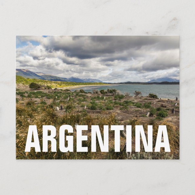 Penguinera Postkarte (Vorderseite)