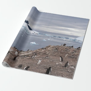 PENGUINS AM MEER GESCHENKPAPIER