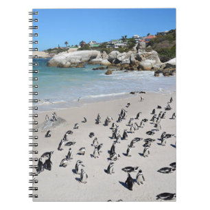 Penguins Boulders Beach Südafrika Notizblock