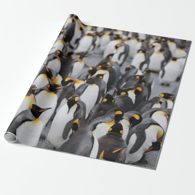 PENGUINS GESCHENKPAPIER (Ungerollt)