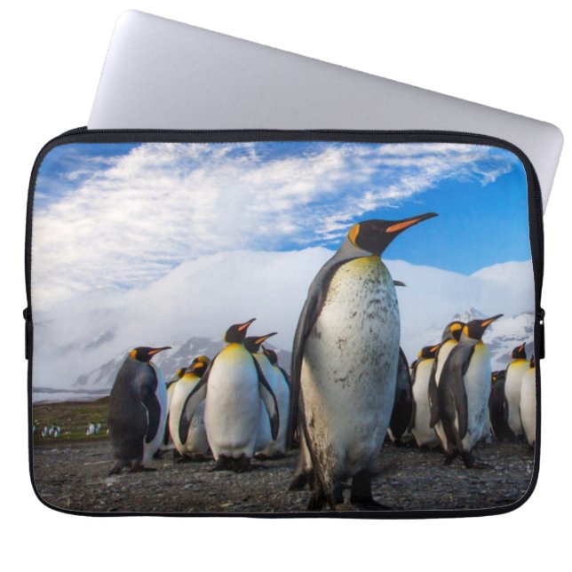 Penguins Marching Blue Sky Laptopschutzhülle (Vorderseite)