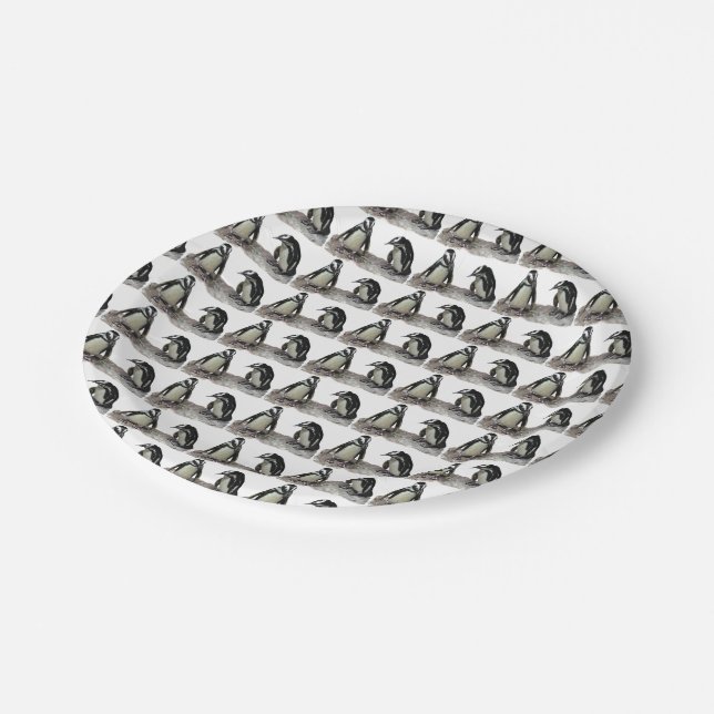 Penguins-PapierTeller Pappteller (Schrägansicht)