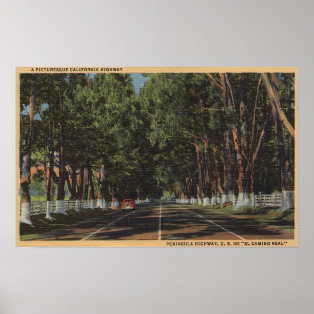 Peninsula Highway US 101 El Camino Real View Poster (Vorne)