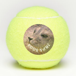 Penn Championship TENNIS BALL SIEGEL KUNSTBAR