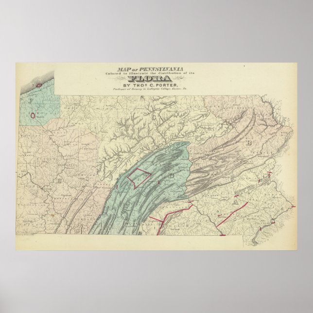 Penn flora poster (Vorne)