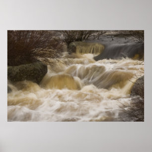 Pennant Brook Fine Art Print Poster
