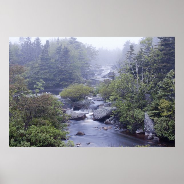 Pennant Brook in Fog Fine Art Print Poster (Vorne)