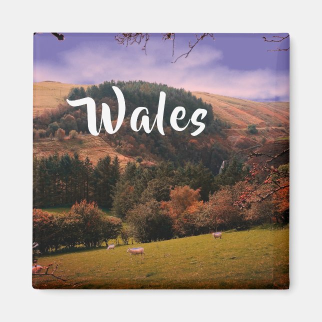 Pennant Valley Pasta in Wales Magnet (Vorne)