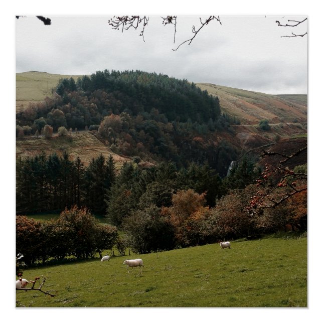 Pennant Valley Wales Poster (Vorderseite)