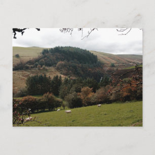 Pennant Valley Wales Postkarte
