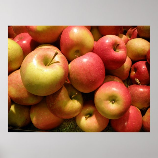 Pennsylvania Apples Poster, 30,67" X 23" Poster (Vorne)