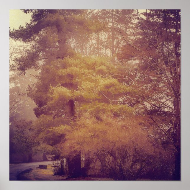 Pennsylvania Country Road Poster (Vorne)