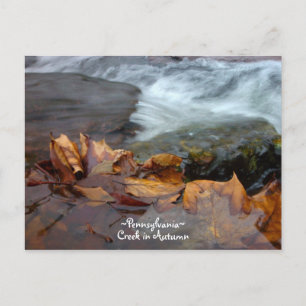 Pennsylvania creek Postcard Postkarte
