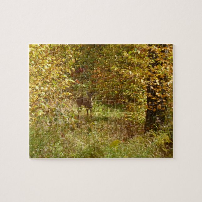 Pennsylvania Deer in Fall Nature Puzzle (Horizontal)