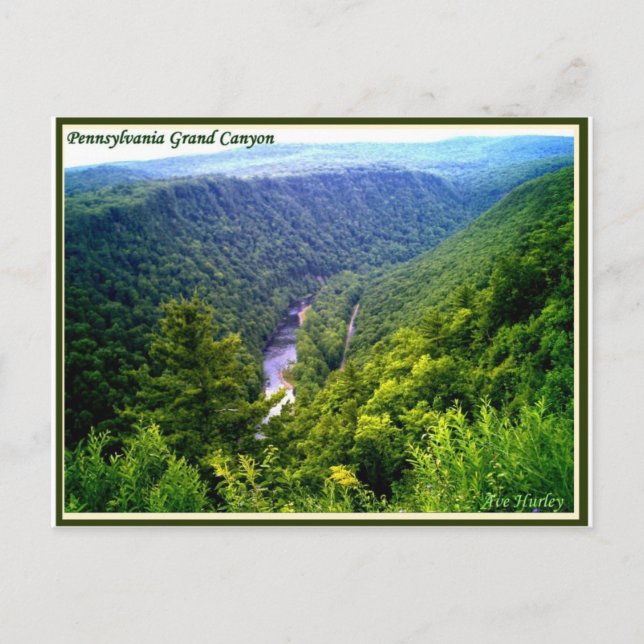 Pennsylvania Grand Canyon im Sommer Postkarte (Vorderseite)