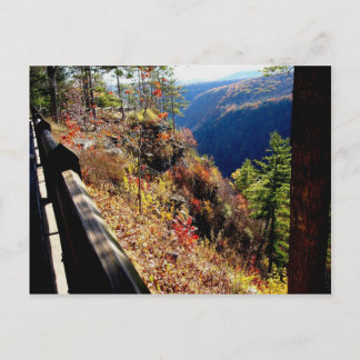 Pennsylvania Grand Canyon - Leonard Harris St Park Postkarte