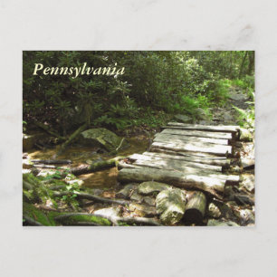 Pennsylvania Holzbrücke Postkarte