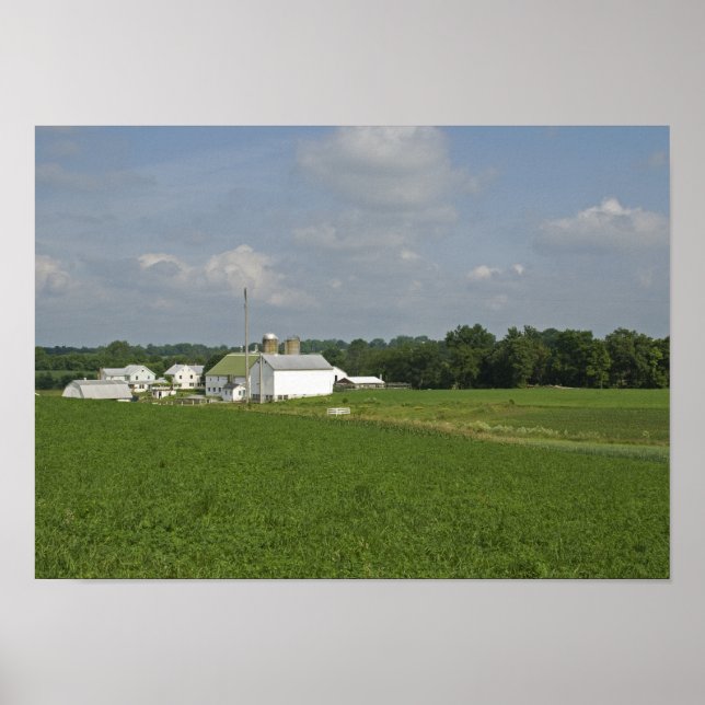 Pennsylvania Landschaft Poster (Vorne)