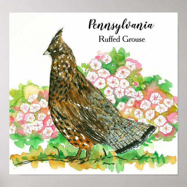 Pennsylvania Ruffed Grouse Mountain Laurel Poster (Vorne)