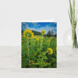 "Pennsylvania-Sonnenblumenfeld"  Karte