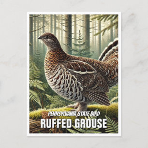 Pennsylvania Staat Bird Ruffed Grouse Postkarte