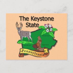 Pennsylvania The Keystone Staat Bird Deer Blume Postkarte