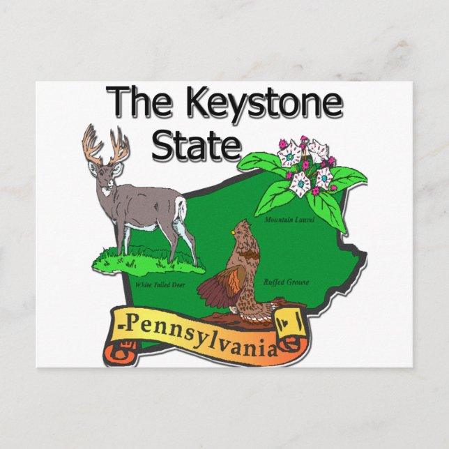 Pennsylvania The Keystone Staat Bird Deer Blume Postkarte (Vorderseite)