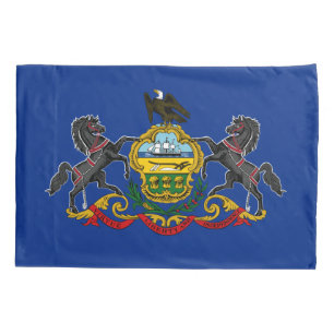 Pennsylvanische Flagge Kissenbezug