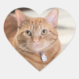 Penny Herz-Aufkleber