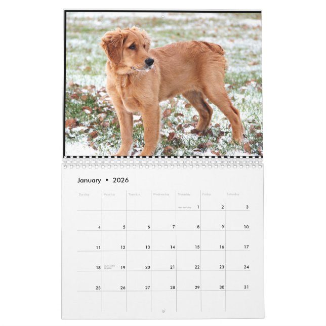 Penny-Kalender 2015 Kalender (Jan 2026)
