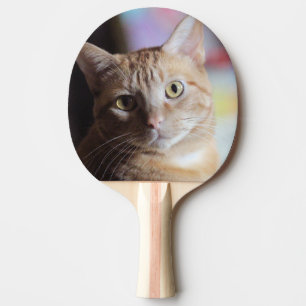 Penny Tischtennis Schläger
