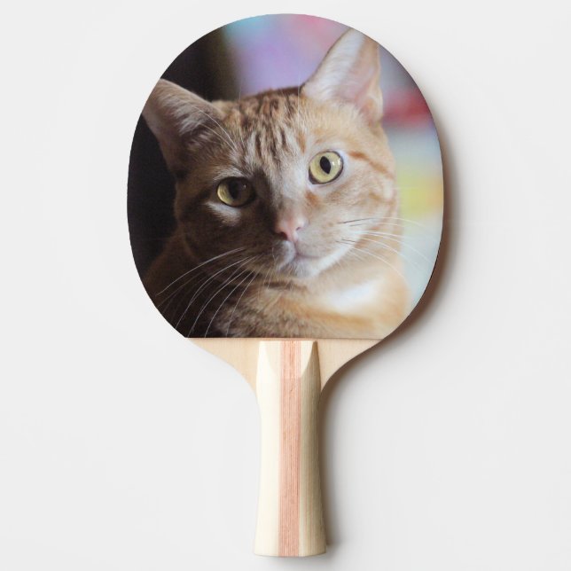 Penny Tischtennis Schläger (Vorderseite)