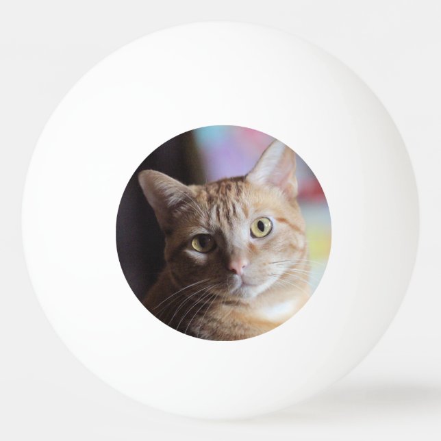 Penny Tischtennisball (Vorderseite)
