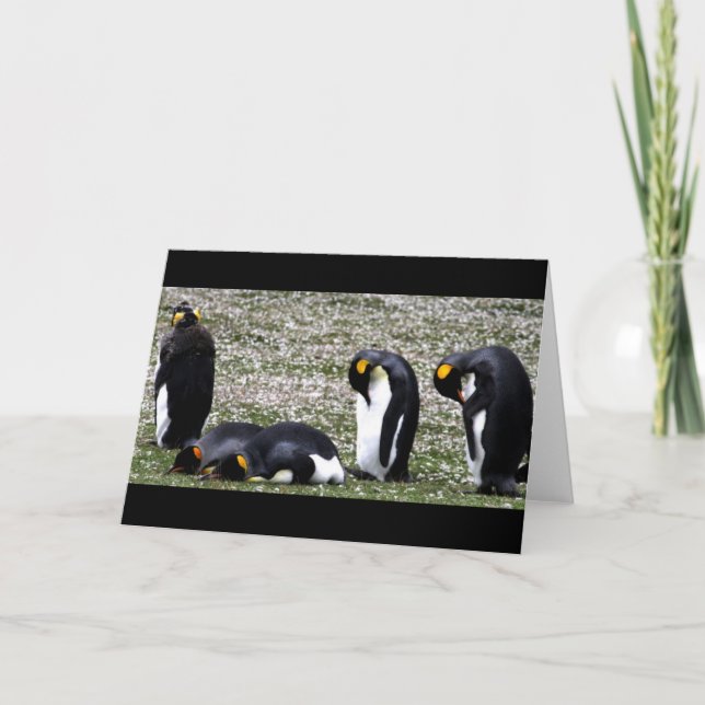 Penquin Montags Notecard Karte (Vorderseite)