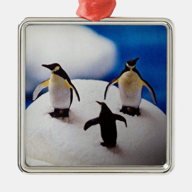 PENQUINS CELEBRATE=CHRISTMAS ORNANATION SILBERNES ORNAMENT (Vorne)