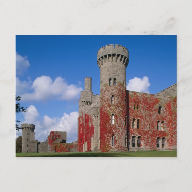 Penrhyn Castle, Gwynedd, Wales 3 Postkarte (Vorderseite)