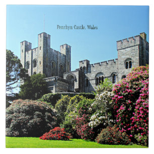 Penrhyn Castle, Wales Fliese