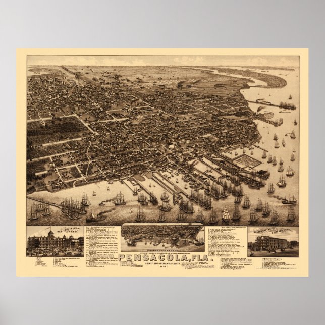 Pensacola, FL Panoramic Map - 1885 Poster (Vorne)