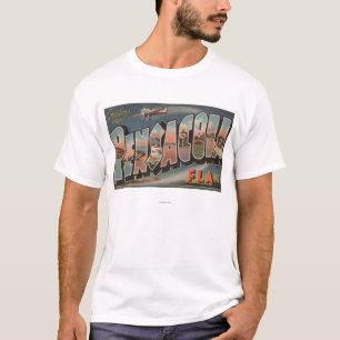Pensacola, Florida (Flugzeuge) T-Shirt