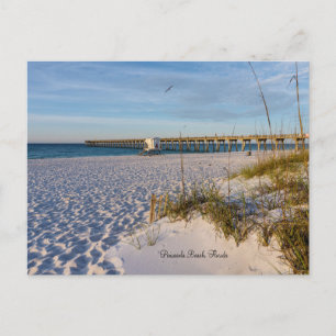 Pensacola Sand Dunes Pier Morgens Postkarte