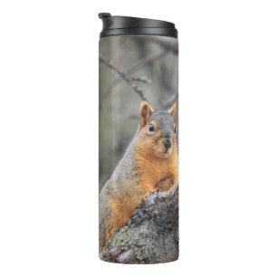 pensiv thermosbecher