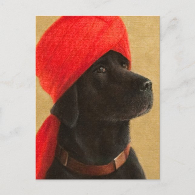 Pensive Maharaja 2010 Postkarte (Vorderseite)