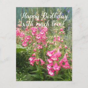 Penstemon Blumengarten floral Glücklicher Geburtst Postkarte