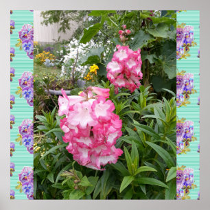 Penstemon Pink Blume Frische Pasta machen Foto Poster